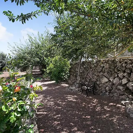 Carmenes *