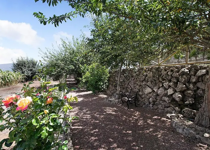 Carmenes *