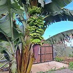 Carmenes וילה