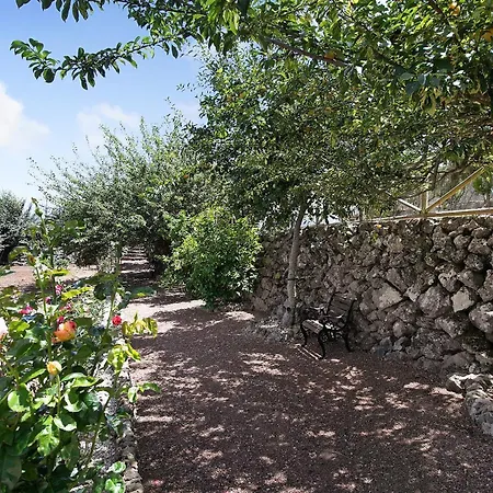 Carmenes איקוד דה לוס וינוס