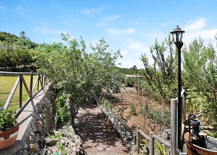 Carmenes * Icod De Los Vinos